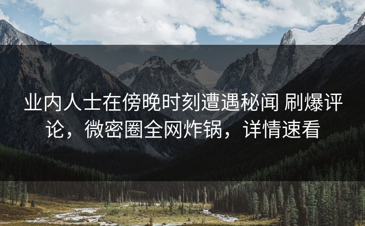 业内人士在傍晚时刻遭遇秘闻 刷爆评论，微密圈全网炸锅，详情速看