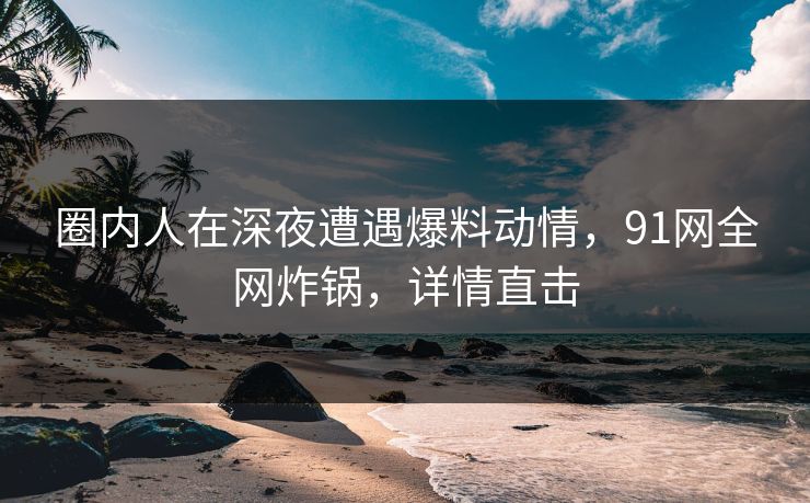 圈内人在深夜遭遇爆料动情，91网全网炸锅，详情直击
